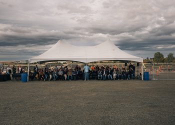 Cómo el movimiento de la harina artesanal podría ser de gran ayuda para los agricultores y el país indio: NPR