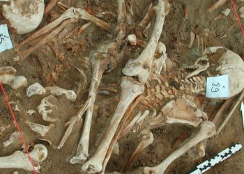 ¿Qué mató al ejército de Napoleón? Los científicos encuentran pistas en el ADN de los dientes de los soldados caídos: Disparos