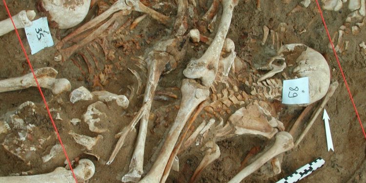 ¿Qué mató al ejército de Napoleón? Los científicos encuentran pistas en el ADN de los dientes de los soldados caídos: Disparos