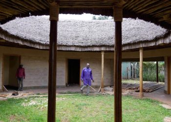 Una granja en Kenia fabrica paneles a base de hongos para la construcción sostenible