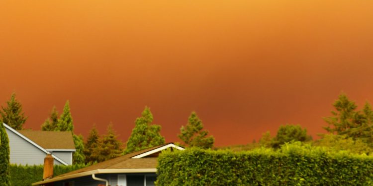 La calidad del esperma disminuye después de los incendios forestales, según un nuevo estudio