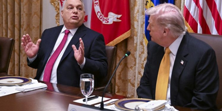 El líder húngaro Orban dice que obtuvo un 'escudo financiero' de Trump | Noticias de Donald Trump