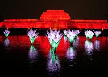 Video. Un millón de LED: Kew Gardens presenta una nueva estela de luces navideñas