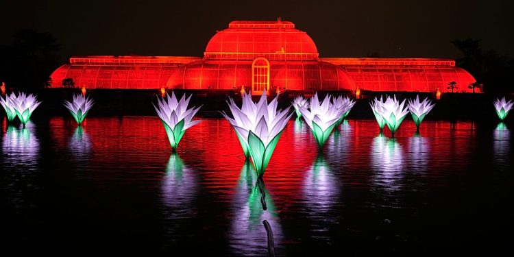 Video. Un millón de LED: Kew Gardens presenta una nueva estela de luces navideñas