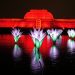 Video. Un millón de LED: Kew Gardens presenta una nueva estela de luces navideñas