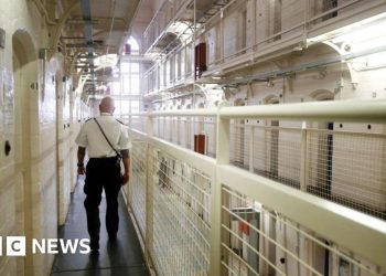 Más de 90 presos liberados por error desde abril