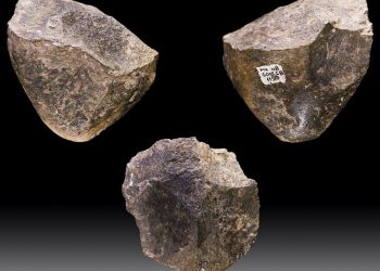 10.000 generaciones de homínidos utilizaron las mismas herramientas de piedra para capear un mundo cambiante