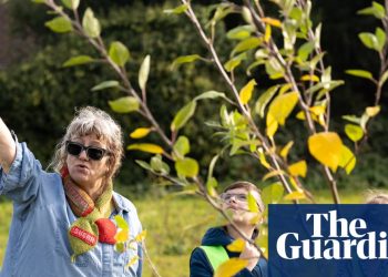 'Hemos plantado la manzana que cayó sobre la cabeza de Newton': los artistas contraatacan contra la emergencia climática | Arte y diseño