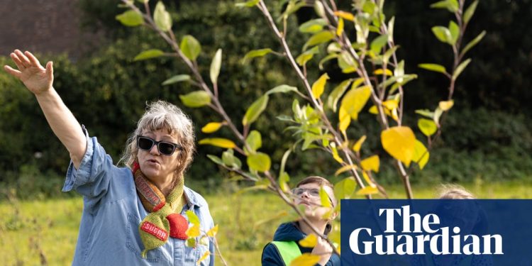 'Hemos plantado la manzana que cayó sobre la cabeza de Newton': los artistas contraatacan contra la emergencia climática | Arte y diseño