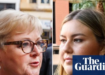 El procedimiento de quiebra de Linda Reynolds contra Brittany Higgins se estancó por un problema administrativo | Australia Occidental