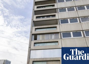 '¿Están construyendo comunidades o simplemente casas?': el coste humano de los planes del ayuntamiento de Birmingham para la finca Druids Heath | Alojamiento