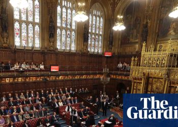 Los pares montarán una nueva ofensiva para detener el proyecto de ley de muerte asistida | muerte asistida