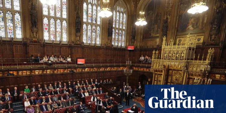 Los pares montarán una nueva ofensiva para detener el proyecto de ley de muerte asistida | muerte asistida