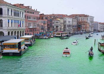 Greta Thunberg expulsada de Venecia tras teñirse de verde canal