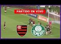VIDEO: ver resumen y gol del Palmeiras vs Flamengo (0-1) por final de Copa Libertadores