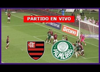 VIDEO: ver resumen y gol del Palmeiras vs Flamengo (0-1) por final de Copa Libertadores