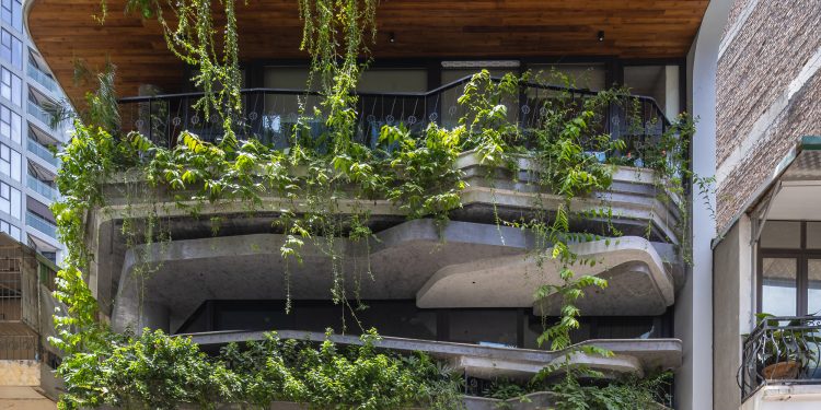 ESPACIO LYM / PAK Arquitectos