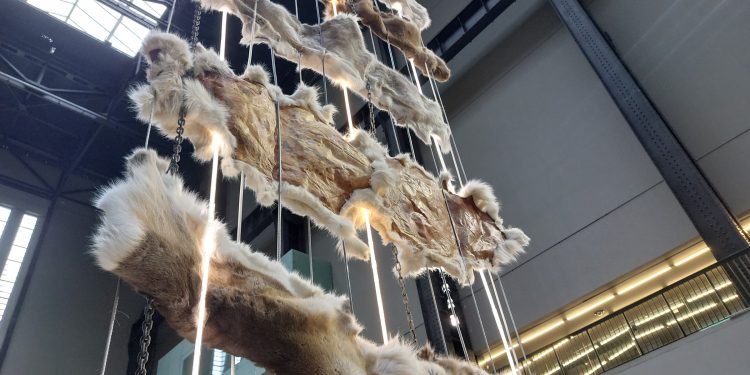 El Canario en la Sala de Turbinas