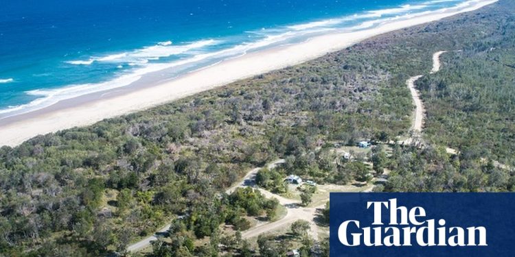 Las playas reabren después de que un tiburón toro matara a un turista suizo y la policía revisa las imágenes de GoPro de la escena | tiburones