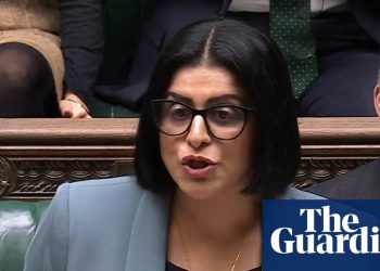 ¿Es este el entorno hostil del Partido Laborista? – podcast | Inmigración y asilo