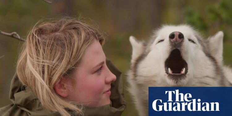 'Un fuego, un perro y el cielo estrellado': los adolescentes superan la adicción al teléfono a través de actividades en el Ártico | Películas documentales