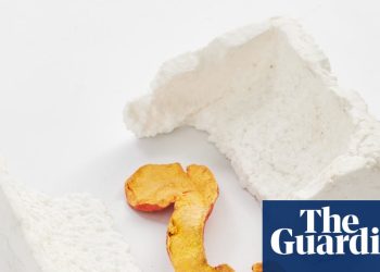 Este arte es basura: por qué los artistas recrean meticulosamente nuestra basura, tan bien que incluso confunden a los limpiadores | Arte