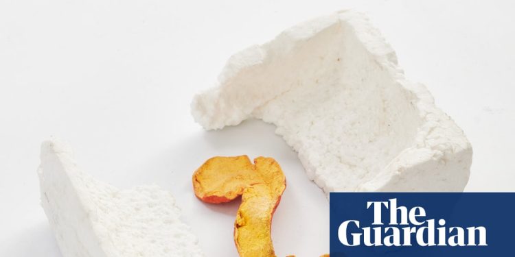 Este arte es basura: por qué los artistas recrean meticulosamente nuestra basura, tan bien que incluso confunden a los limpiadores | Arte