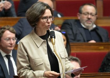 Para los artistas-autores, el tipo de protección social se suspende en el examen de los senadores.