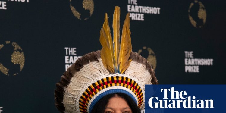 Las tierras indígenas deben ser reconocidas como parte de la política climática, dice ministro brasileño | poli30