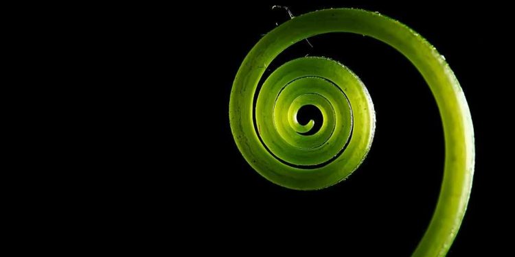 Una nueva mirada al Spring Framework