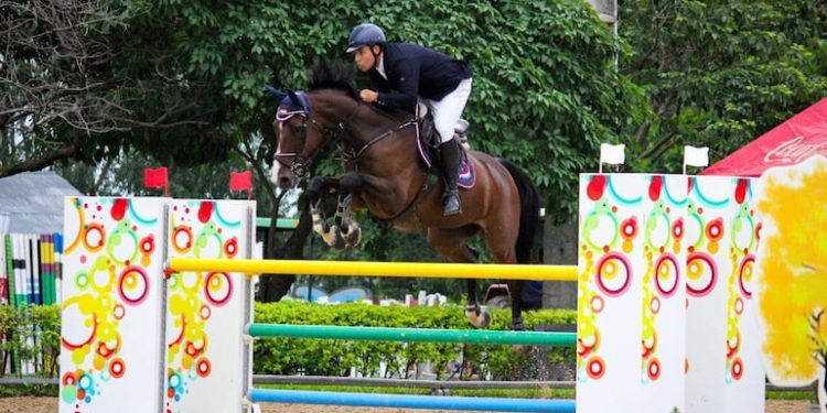 Hipismo: FEI Challenge y 7ª fecha – Polideportivo