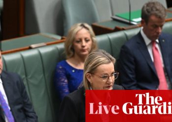 La política australiana en vivo: Sussan Ley pregunta '¿Cómo mantenemos la ira?' mientras lee los nombres de 74 mujeres asesinadas el año pasado | noticias de australia