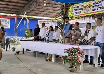 Las alertas por el retiro del seguimiento de la ONU a los compromisos del acuerdo de paz con los pueblos étnicos