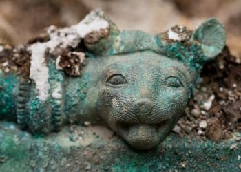 Los tesoros del «príncipe de Lavau» expuestos para el estreno de dos días después de su descubrimiento