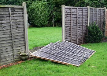 ¿La cerca rota de tu vecino es tu problema? Pido a los expertos que averigüen quién paga las reparaciones.