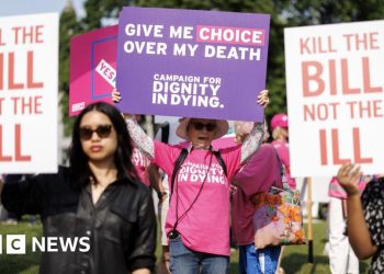 Los pares piden más tiempo para debatir el proyecto de ley de muerte asistida