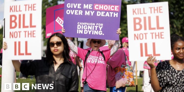 Los pares piden más tiempo para debatir el proyecto de ley de muerte asistida