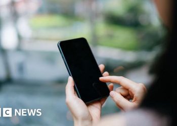 Preocupaciones de seguridad sobre el sistema central de la identificación digital