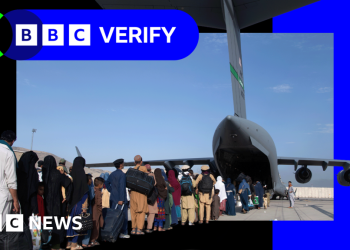 ¿Cómo se investigó a los evacuados afganos durante el gobierno de Biden?