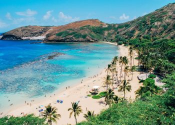 Vuele a Hawái desde 7500 millas con la nueva oferta de premios de Alaska Airlines