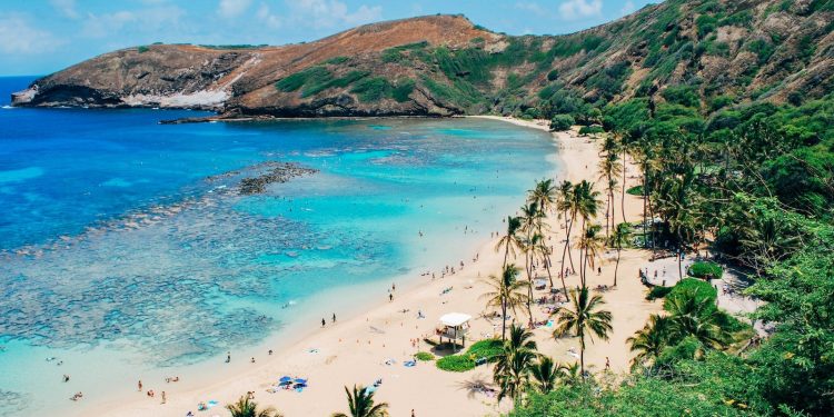 Vuele a Hawái desde 7500 millas con la nueva oferta de premios de Alaska Airlines