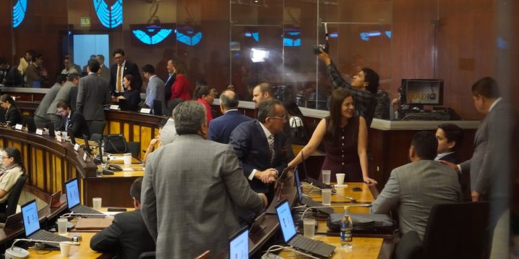 Asambleístas de ADN defienden proforma presupuestaria 2026, correístas e independientes observan inconsistencias | Política | Noticias