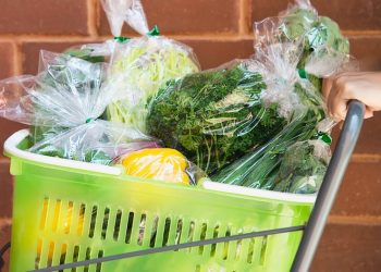 Cupones de alimentos SNAP: los requisitos laborales para recibir el beneficio en Illinois | REVISTA