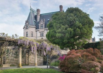 Asheville está de regreso, con todo su estilo artístico