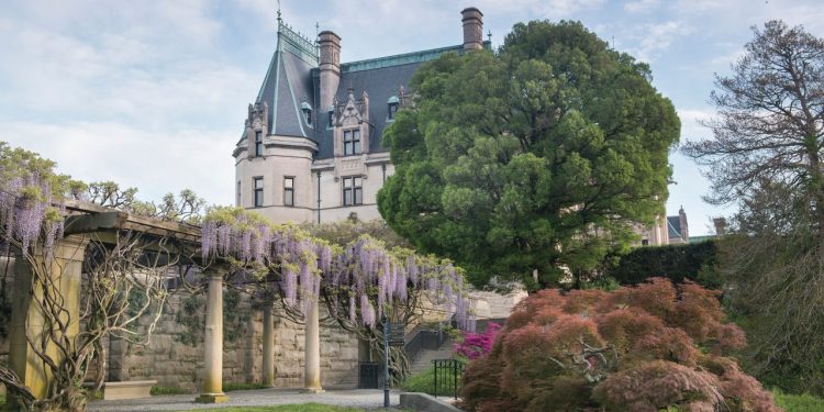 Asheville está de regreso, con todo su estilo artístico