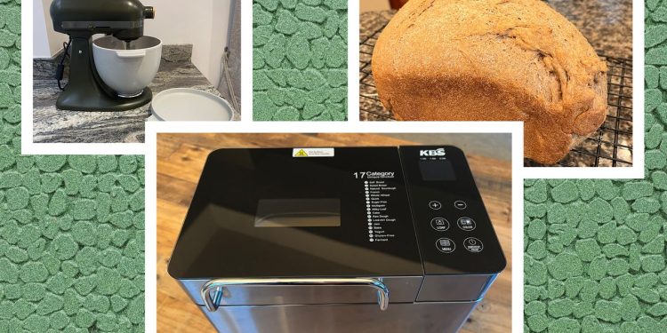 Las 5 mejores panificadoras, probadas y revisadas (2025)