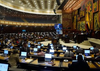 A un paso para que la Asamblea Nacional admita a trámite el proyecto para el uso responsable del cannabis en el Ecuador | Política | Noticias