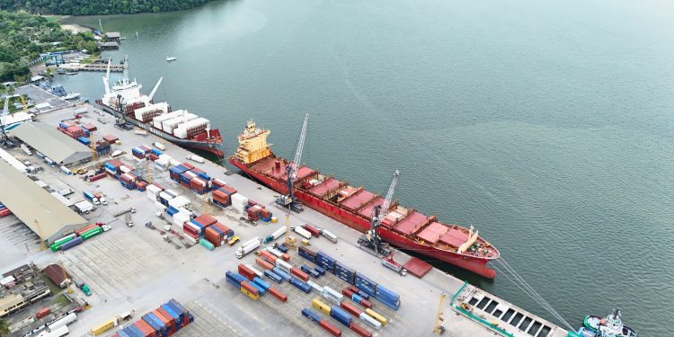 «Las ineficiencias portuarias son superables, pero requieren tiempo», afirma viceministro del CIV