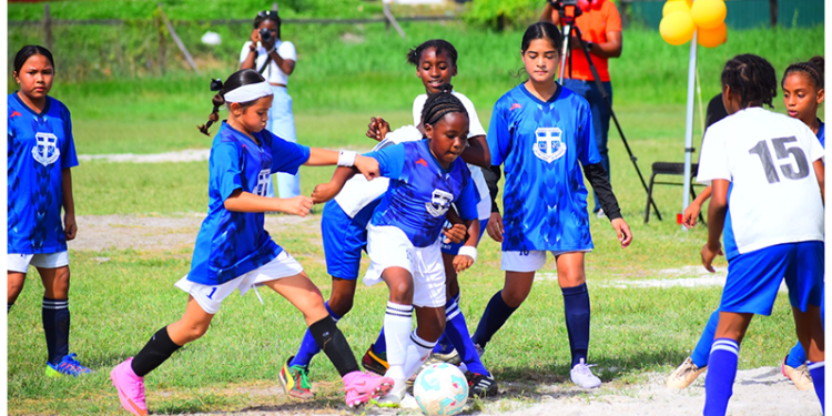 Gana registro de San Juan Bautista, Academia Mariana y Santa Rosa