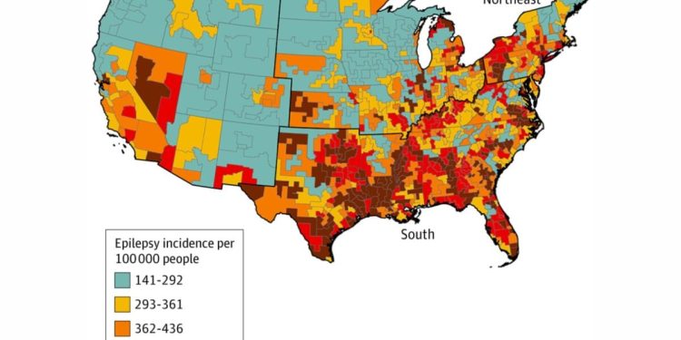Estos estados tienen las tasas más altas de epilepsia y los científicos creen saber por qué